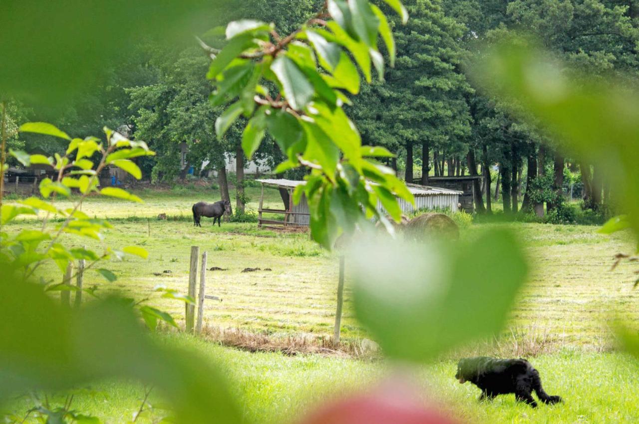 Ferienwohnungen Auf Dem Pommernhof Samtens Exterior photo